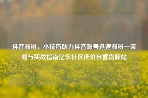 抖音涨粉，小技巧助力抖音账号迅速涨粉—策略与实战指南亿乐社区低价自营货源站  第1张