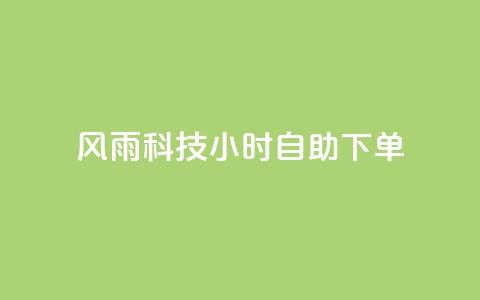 风雨科技24小时自助下单 - 风雨科技24小时自助服务订购!  第1张 风雨科技24小时自助下单 - 风雨科技24小时自助服务订购!  第1张