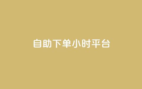 自助下单24小时平台 - 全天候自助下单平台	，24小时无缝服务体验~  第1张