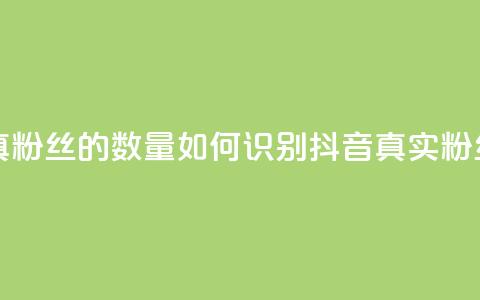 抖音怎么看真粉丝的数量(如何识别抖音真实粉丝数量)  第1张 抖音怎么看真粉丝的数量(如何识别抖音真实粉丝数量)  第1张