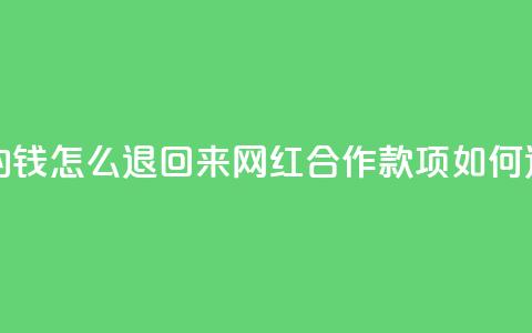 网红助力的钱怎么退回来(网红合作款项如何退还)  第1张 网红助力的钱怎么退回来(网红合作款项如何退还)  第1张