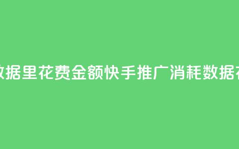 快手推广消耗数据里花费金额(快手推广消耗数据:花费金额大揭秘)  第1张 快手推广消耗数据里花费金额(快手推广消耗数据:花费金额大揭秘)  第1张
