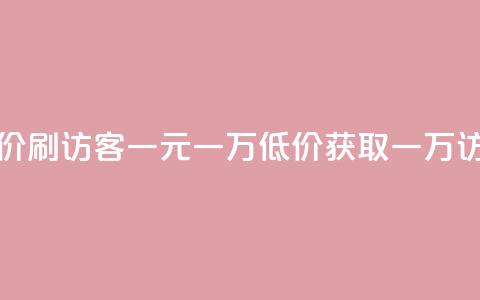 低价刷访客一元一万(低价获取一万访客)  第1张 低价刷访客一元一万(低价获取一万访客)  第1张