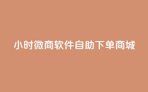 24小时微商软件自助下单商城 - 一天内轻松购物，体验自助下单的微商软件商城~  第1张