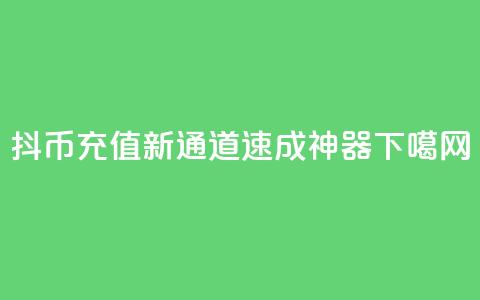 抖币充值新通道：110速成神器  第1张