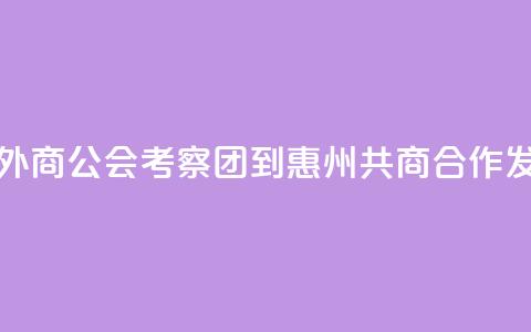 香港广东外商公会考察团到惠州共商合作发展  第1张 香港广东外商公会考察团到惠州共商合作发展  第1张