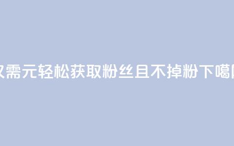 仅需1元轻松获取3000粉丝且不掉粉  第1张 仅需1元轻松获取3000粉丝且不掉粉  第1张
