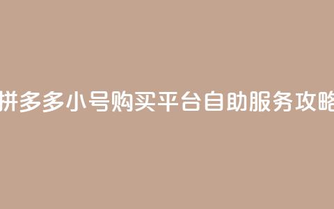 拼多多小号购买平台自助服务攻略  第1张 拼多多小号购买平台自助服务攻略  第1张