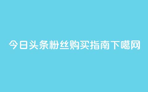 今日头条粉丝购买指南  第1张 今日头条粉丝购买指南  第1张
