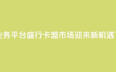 虚拟业务平台盛行，卡盟市场迎来新机遇  第1张