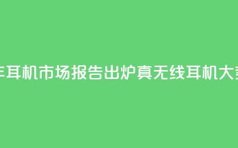 2024上半年耳机市场报告出炉:真无线耳机大势已去  第1张 2024上半年耳机市场报告出炉:真无线耳机大势已去  第1张