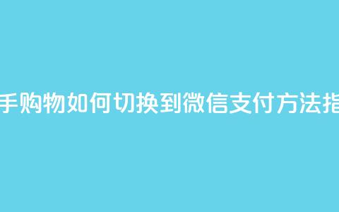 快手购物如何切换到微信支付方法指南  第1张 快手购物如何切换到微信支付方法指南  第1张