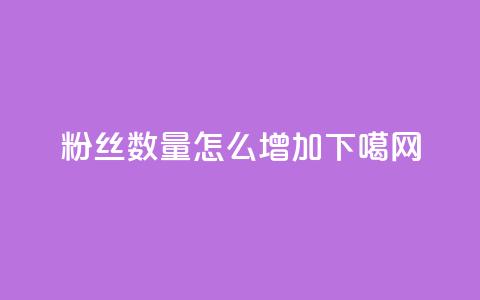 粉丝数量怎么增加  第1张 粉丝数量怎么增加  第1张