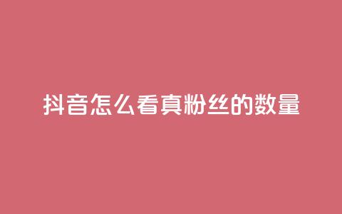 抖音怎么看真粉丝的数量,qq音乐访客量购买平台 - 111赞自助云商城 qq会员自助下单商城  第1张 抖音怎么看真粉丝的数量,qq音乐访客量购买平台 - 111赞自助云商城 qq会员自助下单商城  第1张