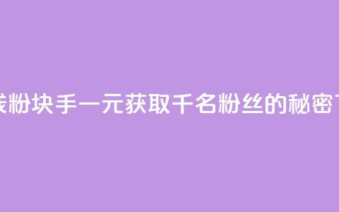 一块钱1000粉块手(一元获取千名粉丝的秘密)  第1张 一块钱1000粉块手(一元获取千名粉丝的秘密)  第1张