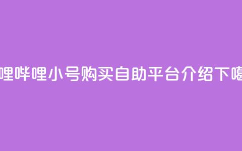 哔哩哔哩小号购买自助平台介绍  第1张 哔哩哔哩小号购买自助平台介绍  第1张