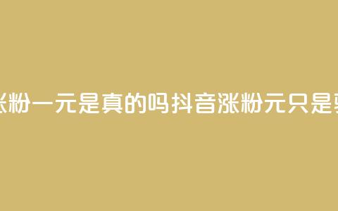 抖音涨粉一元是真的吗(抖音涨粉1元只是骗局吗)  第1张 抖音涨粉一元是真的吗(抖音涨粉1元只是骗局吗)  第1张