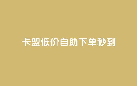 卡盟低价自助下单秒到 - 卡盟自助下单快速到账!  第1张 卡盟低价自助下单秒到 - 卡盟自助下单快速到账!  第1张