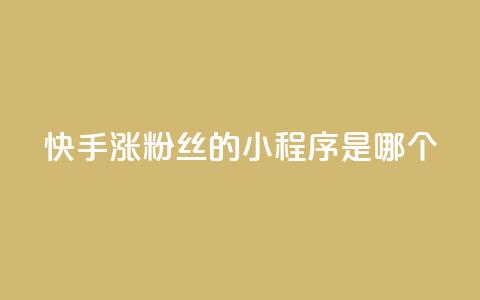 快手涨粉丝的小程序是哪个,彩虹云商城怎么自动补充卡密 - ks一键取赞下载 低价购买QQ会员的平台  第1张 快手涨粉丝的小程序是哪个,彩虹云商城怎么自动补充卡密 - ks一键取赞下载 低价购买QQ会员的平台  第1张