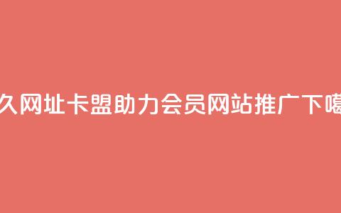 永久网址卡盟助力QQ会员网站推广  第1张 永久网址卡盟助力QQ会员网站推广  第1张