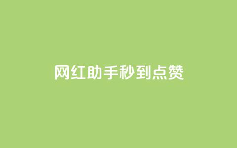 网红助手秒到点赞 - 网红助手快速获取点赞的秘密揭秘~  第1张 网红助手秒到点赞 - 网红助手快速获取点赞的秘密揭秘~  第1张