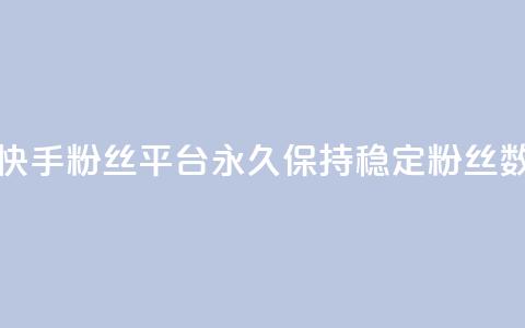 快手粉丝平台永久保持稳定粉丝数  第1张 快手粉丝平台永久保持稳定粉丝数  第1张