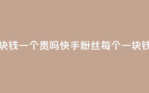 快手粉丝一块钱一个贵吗 - 快手粉丝每个一块钱贵吗？。  第1张
