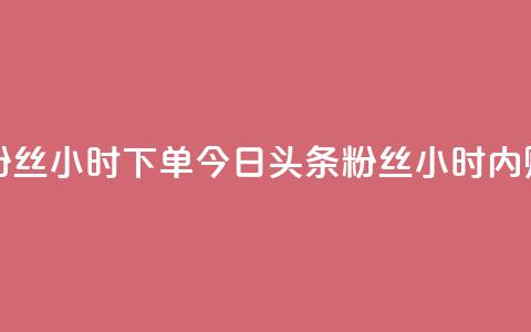今日头条粉丝24小时下单(今日头条粉丝24小时内购买)  第1张 今日头条粉丝24小时下单(今日头条粉丝24小时内购买)  第1张