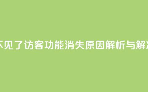 qq访客怎么看不见了 - QQ访客功能消失原因解析与解决方案~  第1张 qq访客怎么看不见了 - QQ访客功能消失原因解析与解决方案~  第1张
