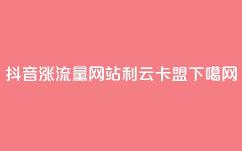 抖音涨流量网站 - 利云卡盟  第1张 抖音涨流量网站 - 利云卡盟  第1张