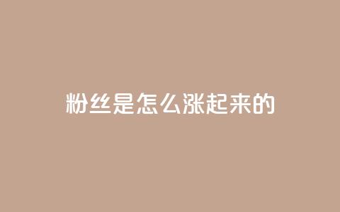 粉丝是怎么涨起来的,ks免费业务平台便宜 - 王者主页秒赞网 快手流量推广网站  第1张 粉丝是怎么涨起来的,ks免费业务平台便宜 - 王者主页秒赞网 快手流量推广网站  第1张