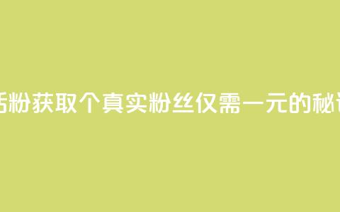 粉丝一元1000个活粉 - 获取1000个真实粉丝仅需一元的秘诀分享~  第1张 粉丝一元1000个活粉 - 获取1000个真实粉丝仅需一元的秘诀分享~  第1张