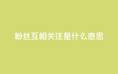 粉丝互相关注是什么意思,快手粉丝和关注的区别在哪里 - QQ点赞自助服务平台 qq资料免费十万赞  第1张 粉丝互相关注是什么意思,快手粉丝和关注的区别在哪里 - QQ点赞自助服务平台 qq资料免费十万赞  第1张