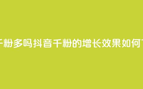 抖音千粉多吗(抖音千粉的增长效果如何?)  第1张 抖音千粉多吗(抖音千粉的增长效果如何?)  第1张