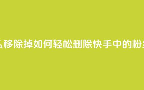 快手粉丝怎么移除掉 - 如何轻松删除快手中的粉丝账号!  第1张 快手粉丝怎么移除掉 - 如何轻松删除快手中的粉丝账号!  第1张