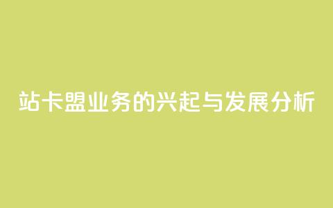 B站卡盟业务的兴起与发展分析  第1张 B站卡盟业务的兴起与发展分析  第1张