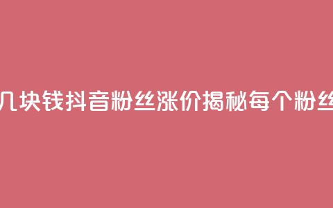 抖音涨一个粉丝几块钱 - 抖音粉丝涨价揭秘:每个粉丝值多少钱~  第1张 抖音涨一个粉丝几块钱 - 抖音粉丝涨价揭秘:每个粉丝值多少钱~  第1张