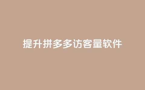 提升拼多多访客量软件  第1张 提升拼多多访客量软件  第1张