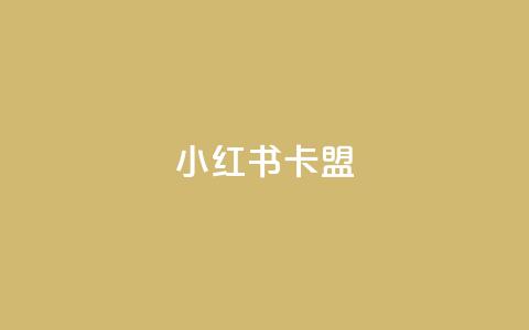 小红书卡盟 - 小红书卡盟的使用指南与注意事项!  第1张 小红书卡盟 - 小红书卡盟的使用指南与注意事项!  第1张