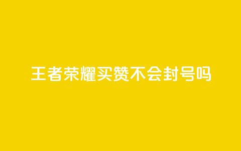王者荣耀买赞不会封号吗 - 一元买赞100个赞  第1张 王者荣耀买赞不会封号吗 - 一元买赞100个赞  第1张