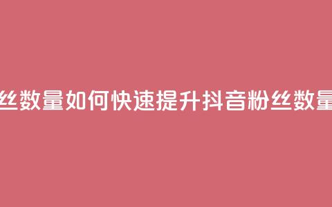 抖音怎么涨有效粉丝数量 - 如何快速提升抖音粉丝数量的有效方法~  第1张 抖音怎么涨有效粉丝数量 - 如何快速提升抖音粉丝数量的有效方法~  第1张