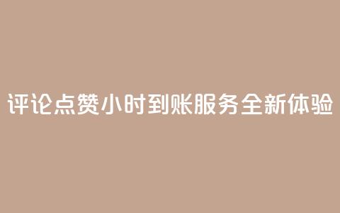 评论点赞24小时到账服务全新体验  第1张 评论点赞24小时到账服务全新体验  第1张