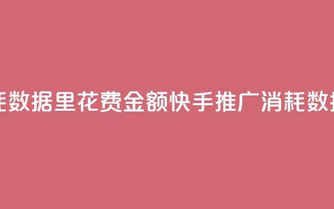 快手推广消耗数据里花费金额(快手推广消耗数据详解)  第1张 快手推广消耗数据里花费金额(快手推广消耗数据详解)  第1张