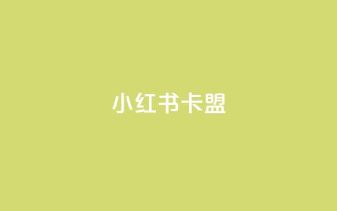 小红书卡盟 - 小红书卡盟:深入解析这一社交电商平台的隐藏商机~  第1张 小红书卡盟 - 小红书卡盟:深入解析这一社交电商平台的隐藏商机~  第1张