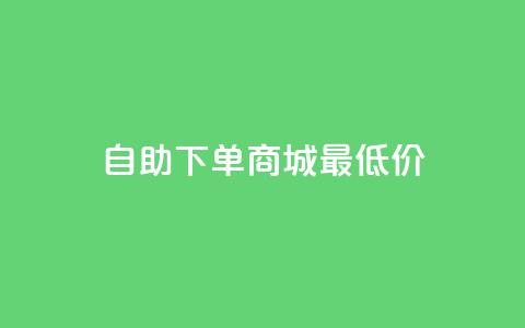 自助下单商城最低价 - 自助下单商城特惠低价精选。  第1张