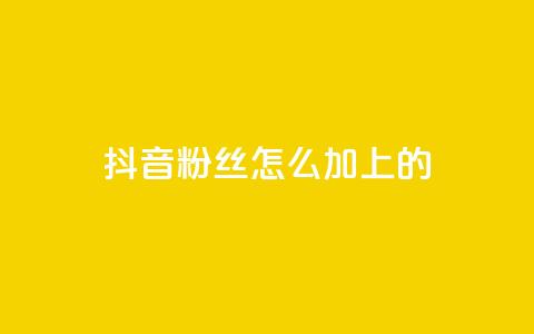 抖音粉丝怎么加上的 - 如何提升抖音粉丝量~  第1张 抖音粉丝怎么加上的 - 如何提升抖音粉丝量~  第1张