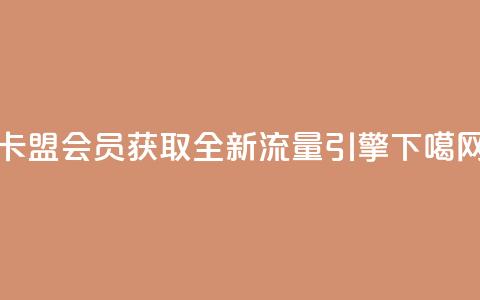 卡盟会员：获取全新流量引擎  第1张
