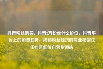 抖音粉丝购买,抖音2万粉丝什么价位,抖音平台上的消费趋势,揭秘粉丝经济的商业秘密亿乐社区低价自营货源站