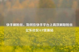 快手刷粉丝,如何在快手平台上高效刷取粉丝亿乐社区SUP货源站