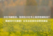 小红书刷粉丝,如何在小红书上高效地刷粉丝?揭秘技巧与策略!亿乐社区低价自营货源站